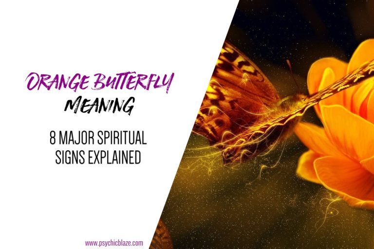 21 Spiritual Meanings of Orange Butterfly (Good & Bad)