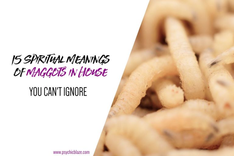15 Spiritual Meanings of Maggots in House You Can’t Ignore
