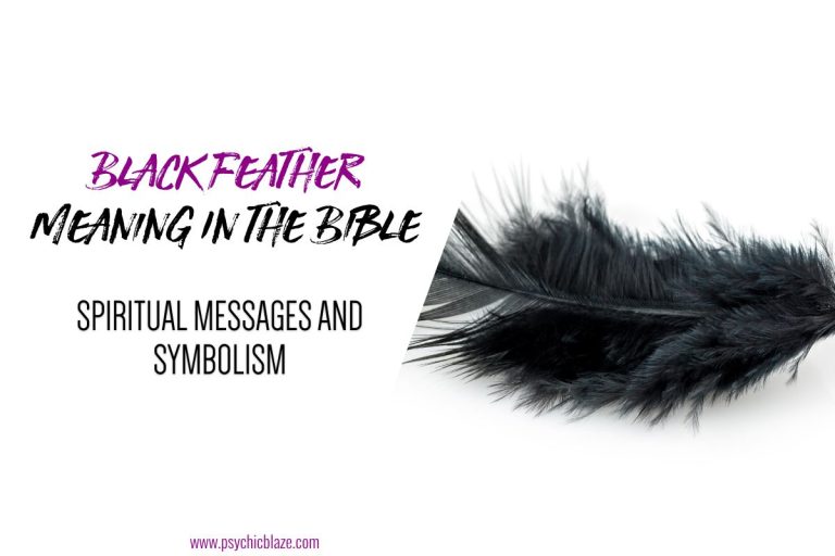 Biblical Meaning of a Black Feather: 6 Spiritual Messages