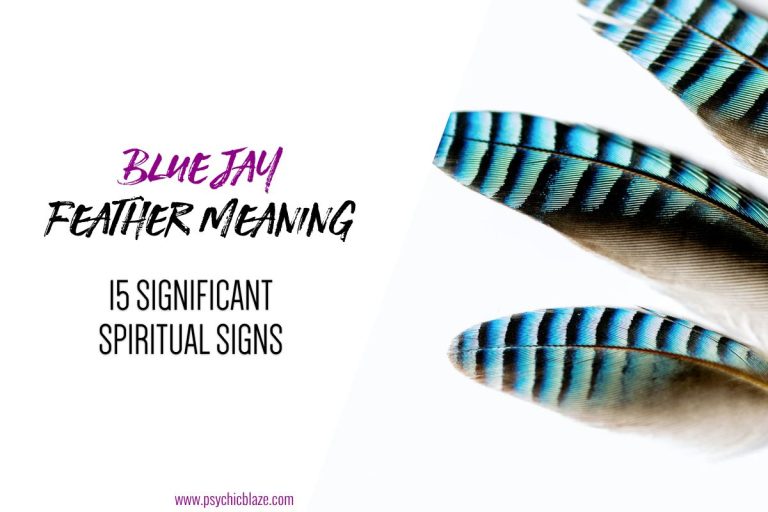 Finding a Blue Jay Feather Meaning & Symbolism