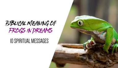 Biblical Meaning of Frogs in Dreams (10 Spiritual Messages)