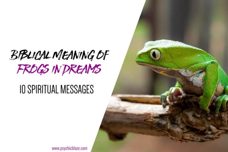 Biblical Meaning of Frogs in Dreams (Explained)