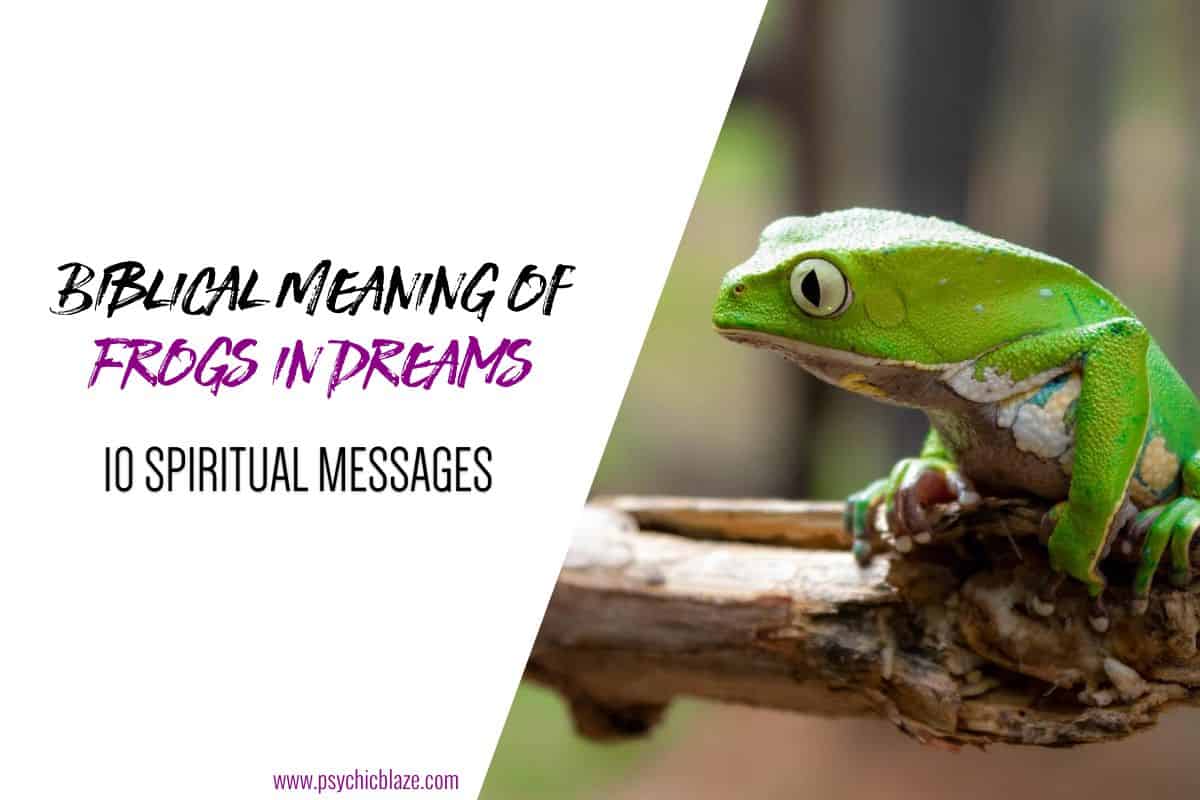Biblical Meaning of Frogs in Dreams (10 Spiritual Messages)