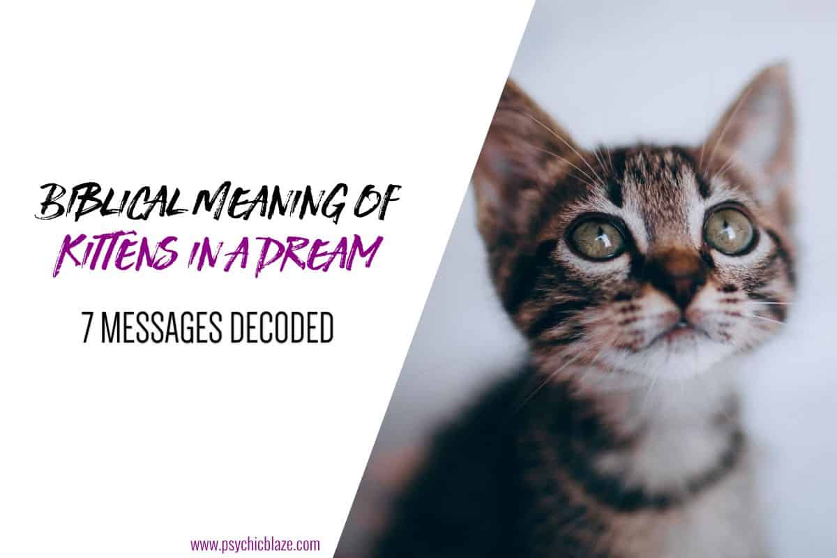 Biblical Meaning of Kittens in a Dream (7 Messages Decoded)