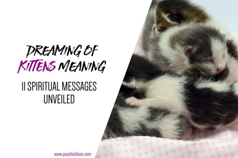Kittens Dream Meaning & Spiritual Messages Explained