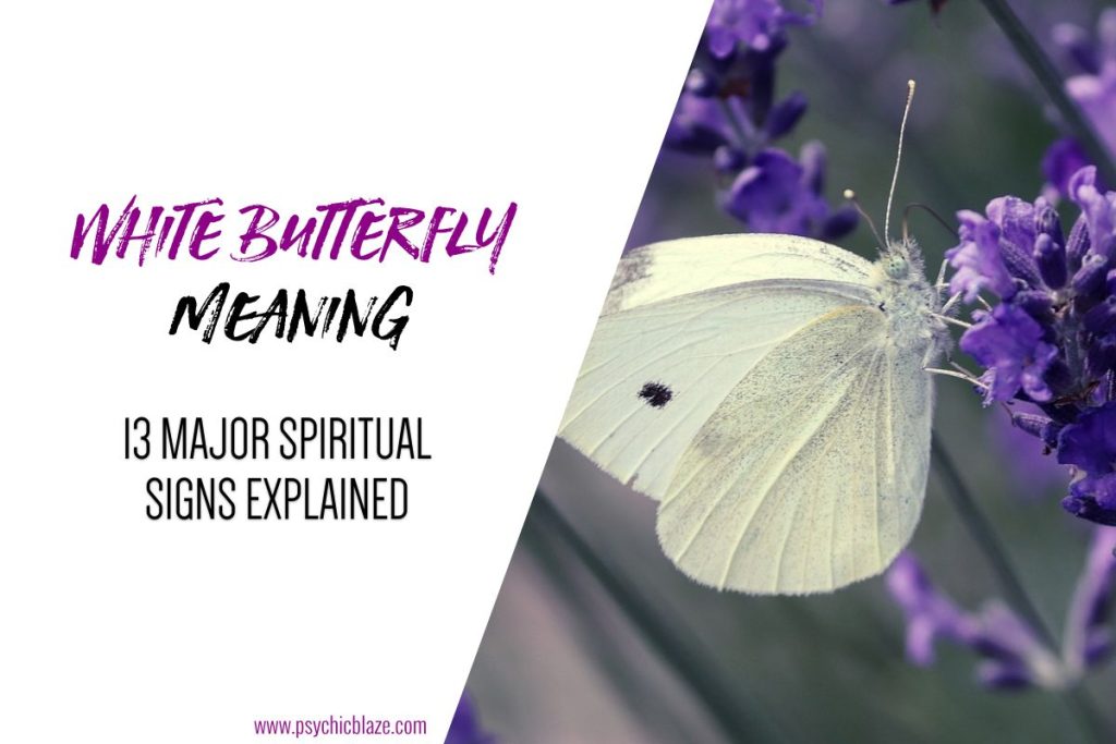 13 Spiritual Meanings of Seeing a White Butterfly