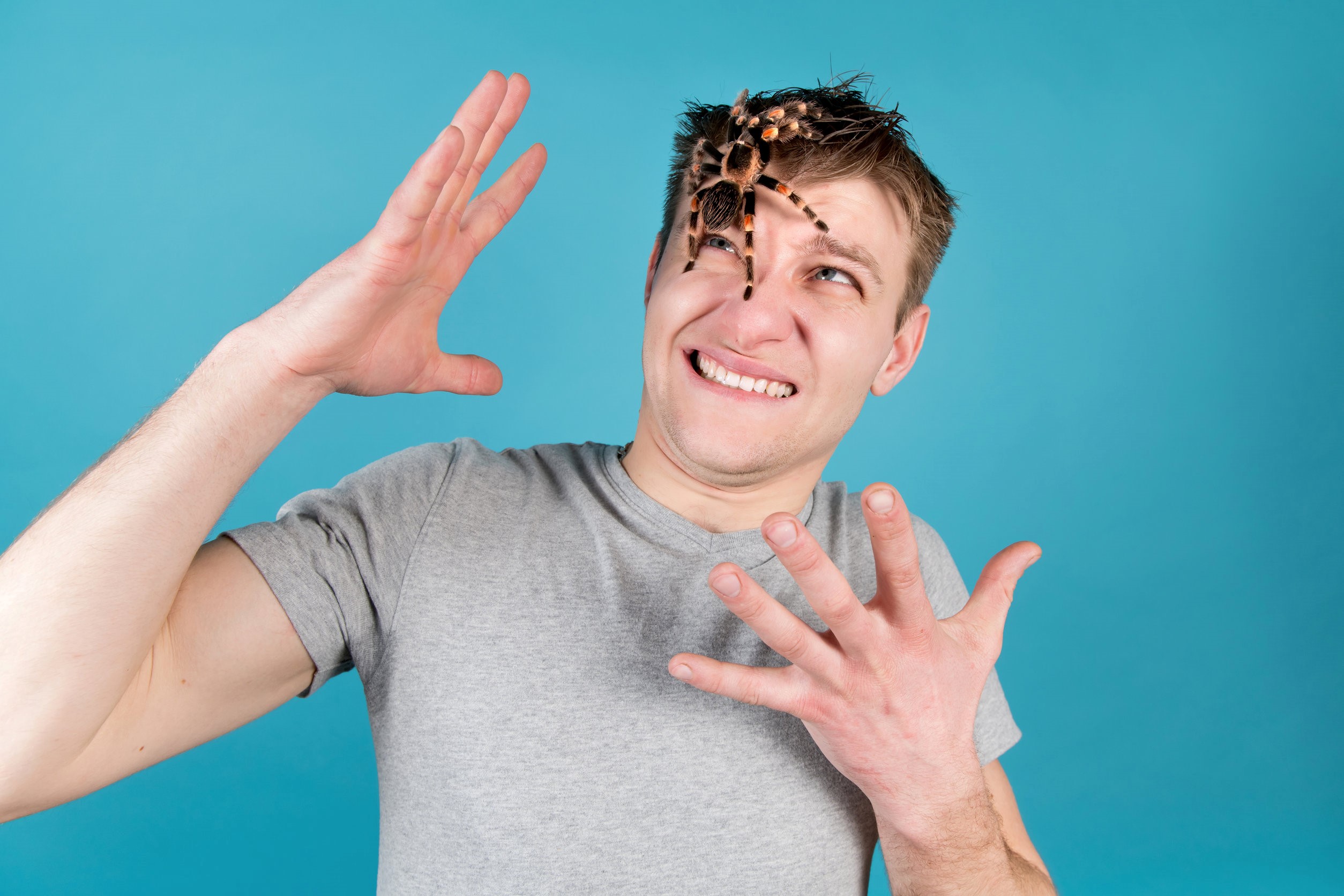 tarantula on a man's head