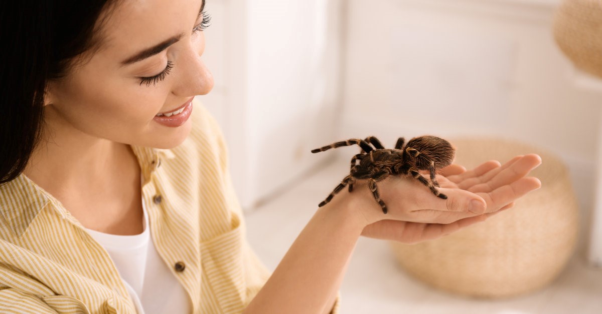 woman holding her pet tarantula