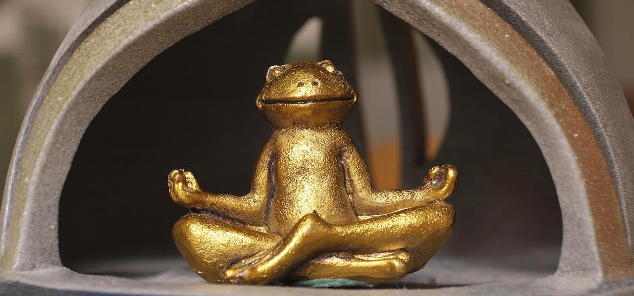 enlightened froggo