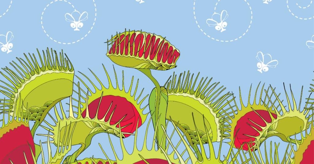 Venus Fly Trap Tarot Card Meaning (Explained with Examples)