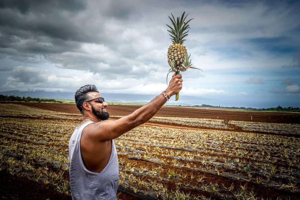 man holding pineapple