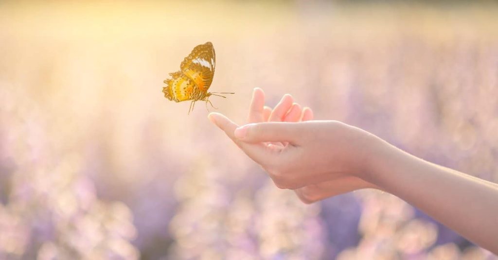 woman touching a butterfly