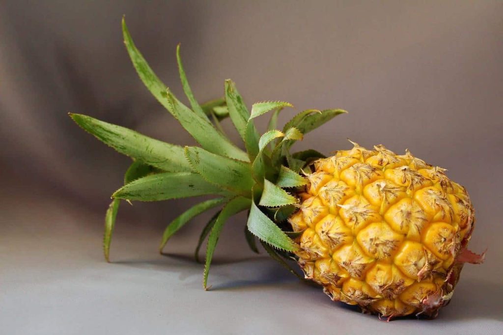 yellow pineapple