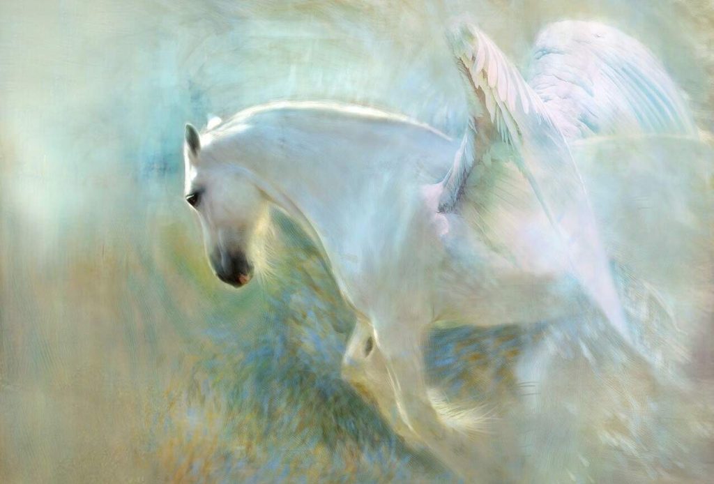 illustration of white horse with wings