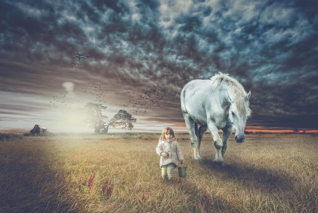 little girl walking with a white horse on a meadow