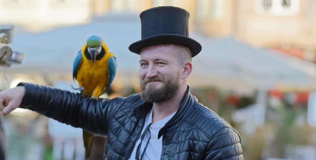 parrot on a man's arms