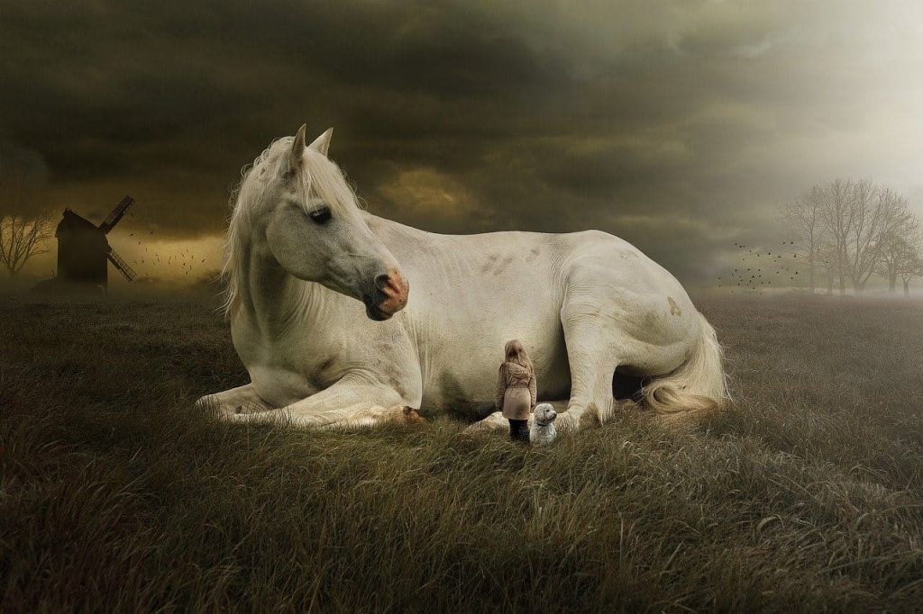 white horse sitting with a girl and a puppy