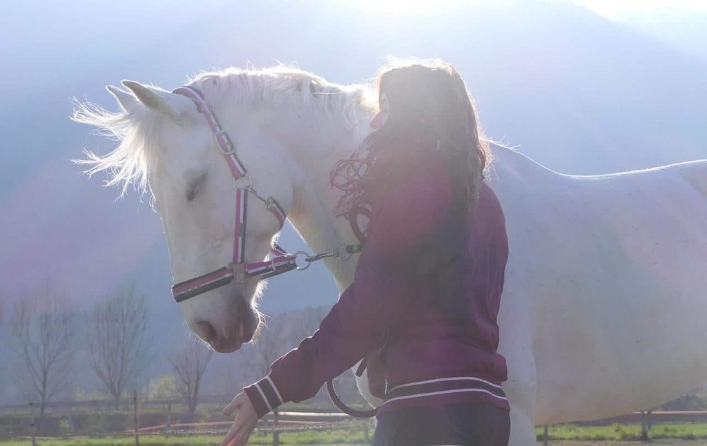 woman and white horse