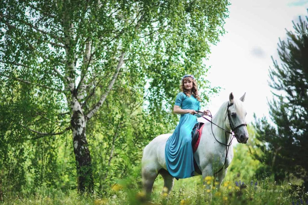 woman in blue dress riding a white horse