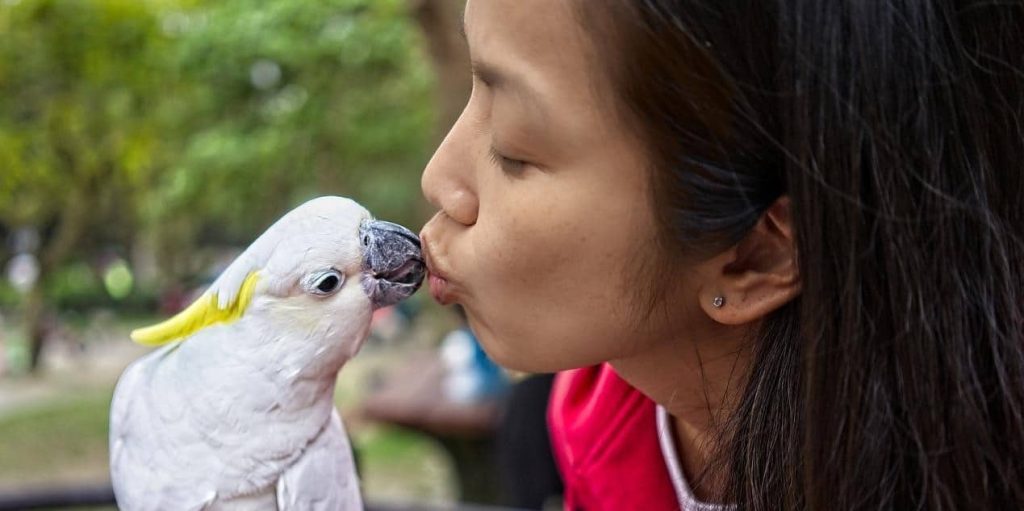 woman kissing a parrot