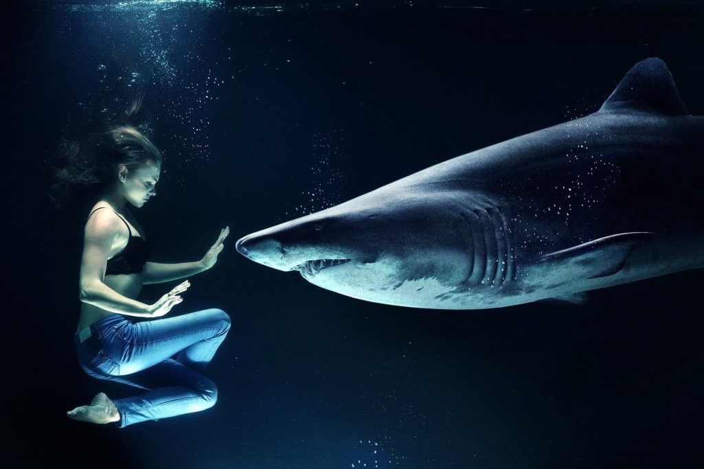 woman trying to tame a shark