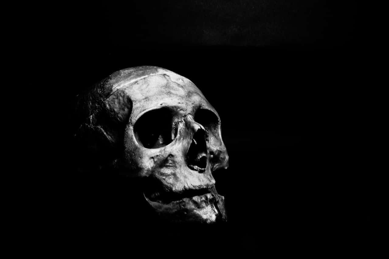skull in black bacjground