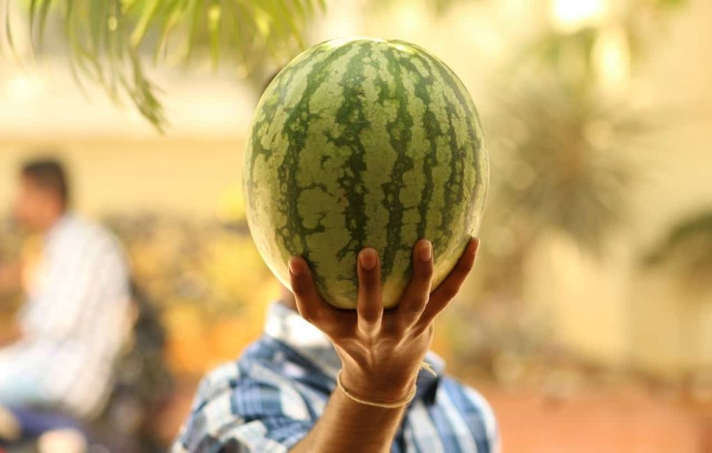 man holding watermelon