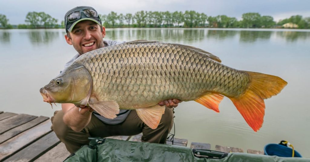 fisherman holding a big fish