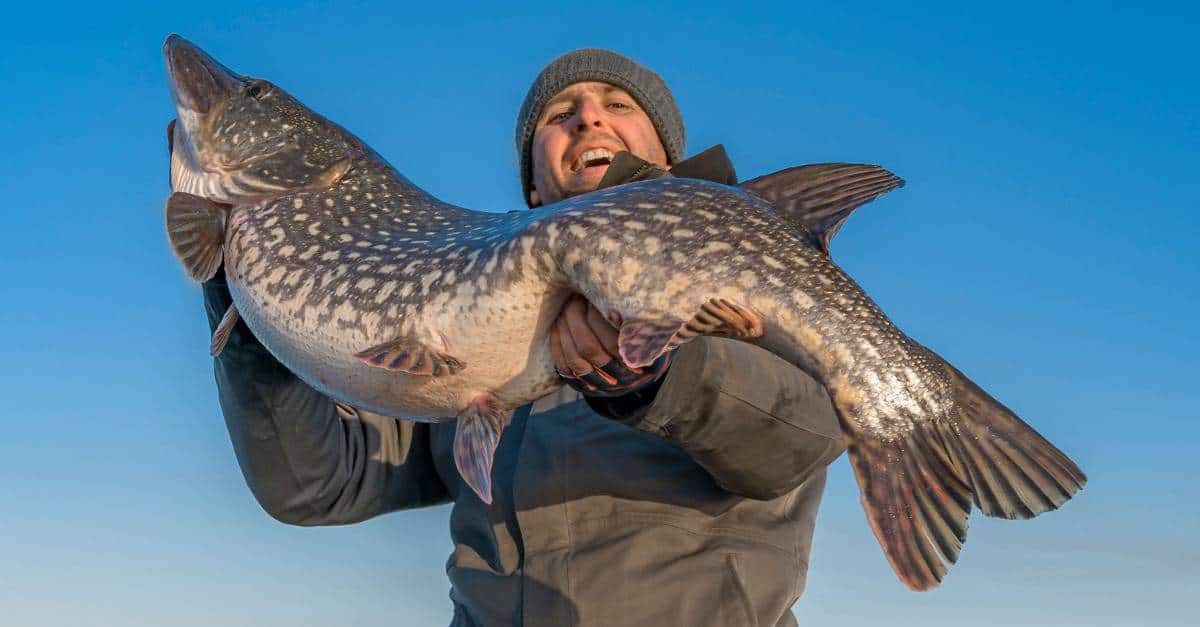 happy man holding a big fish