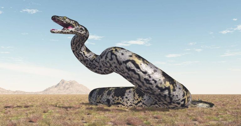 16 Meanings When You Dream About Giant Snakes