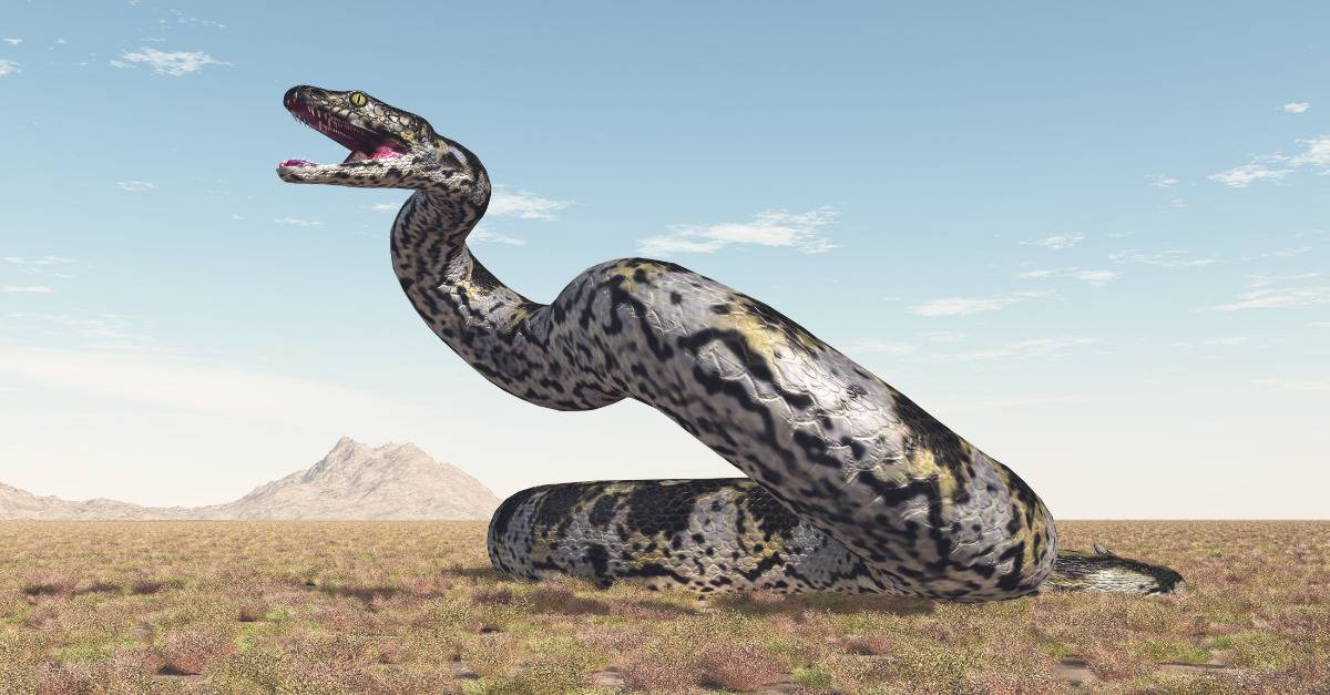 prehistoric giant snake titanoboa