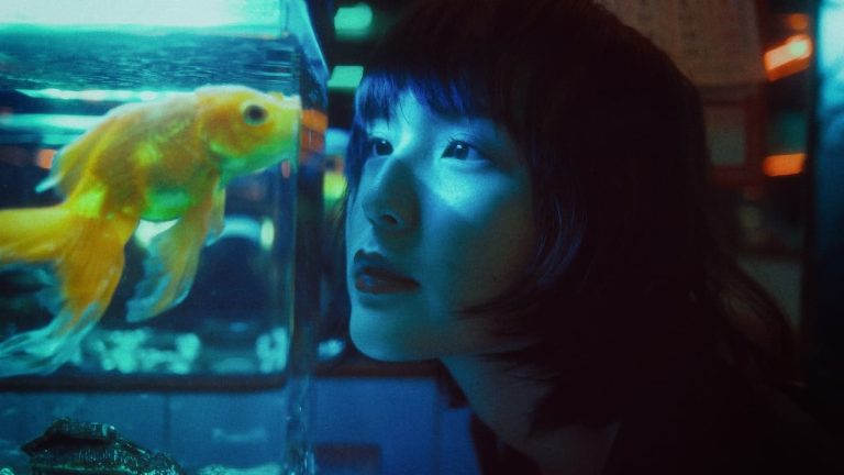 10 Spiritual Meanings When You Dream About Goldfish