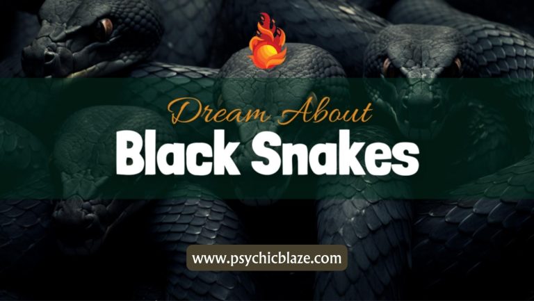 Dream About Black Snakes: Psychological Interpretations