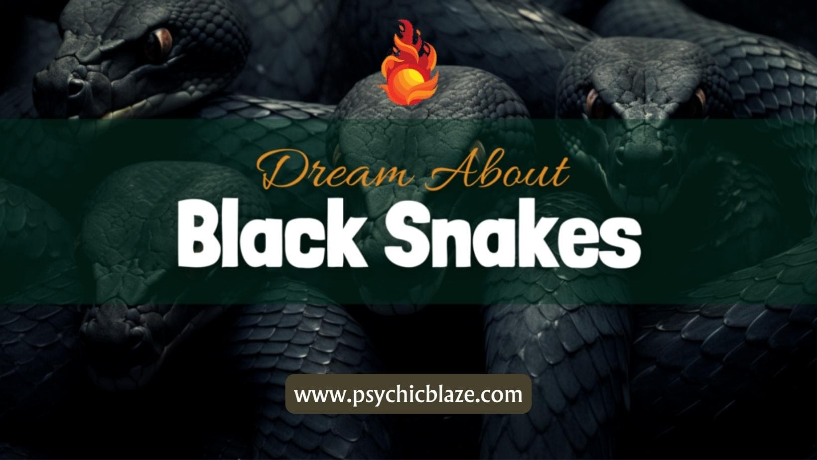 Dream about Black Snakes