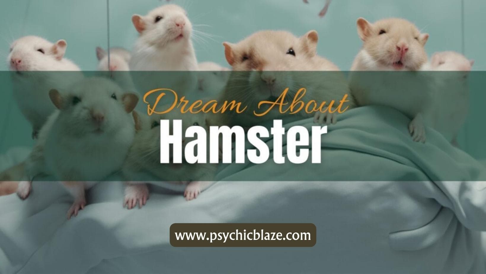 Dream about Hamster