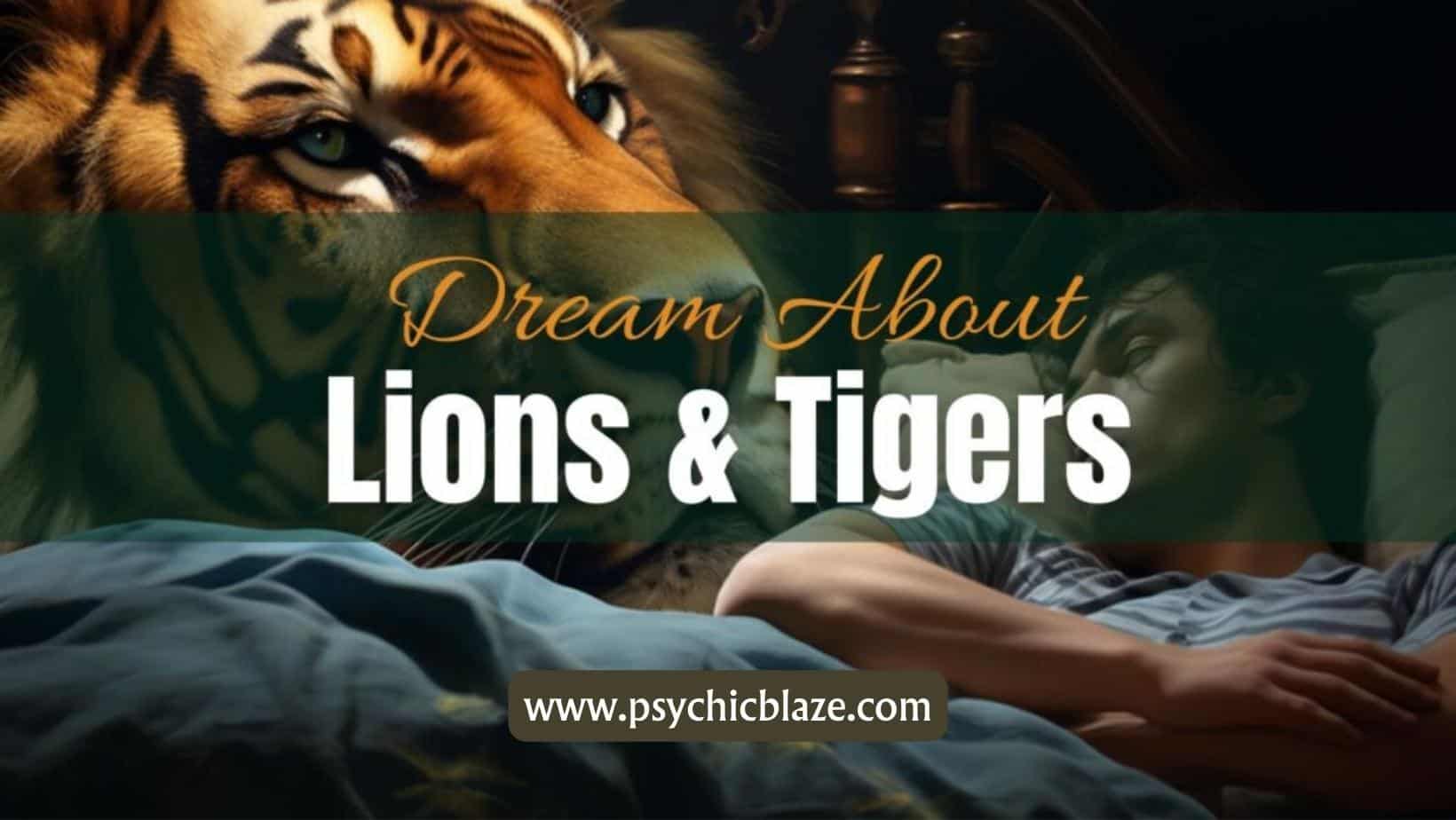 Dream about Lions & Tigers