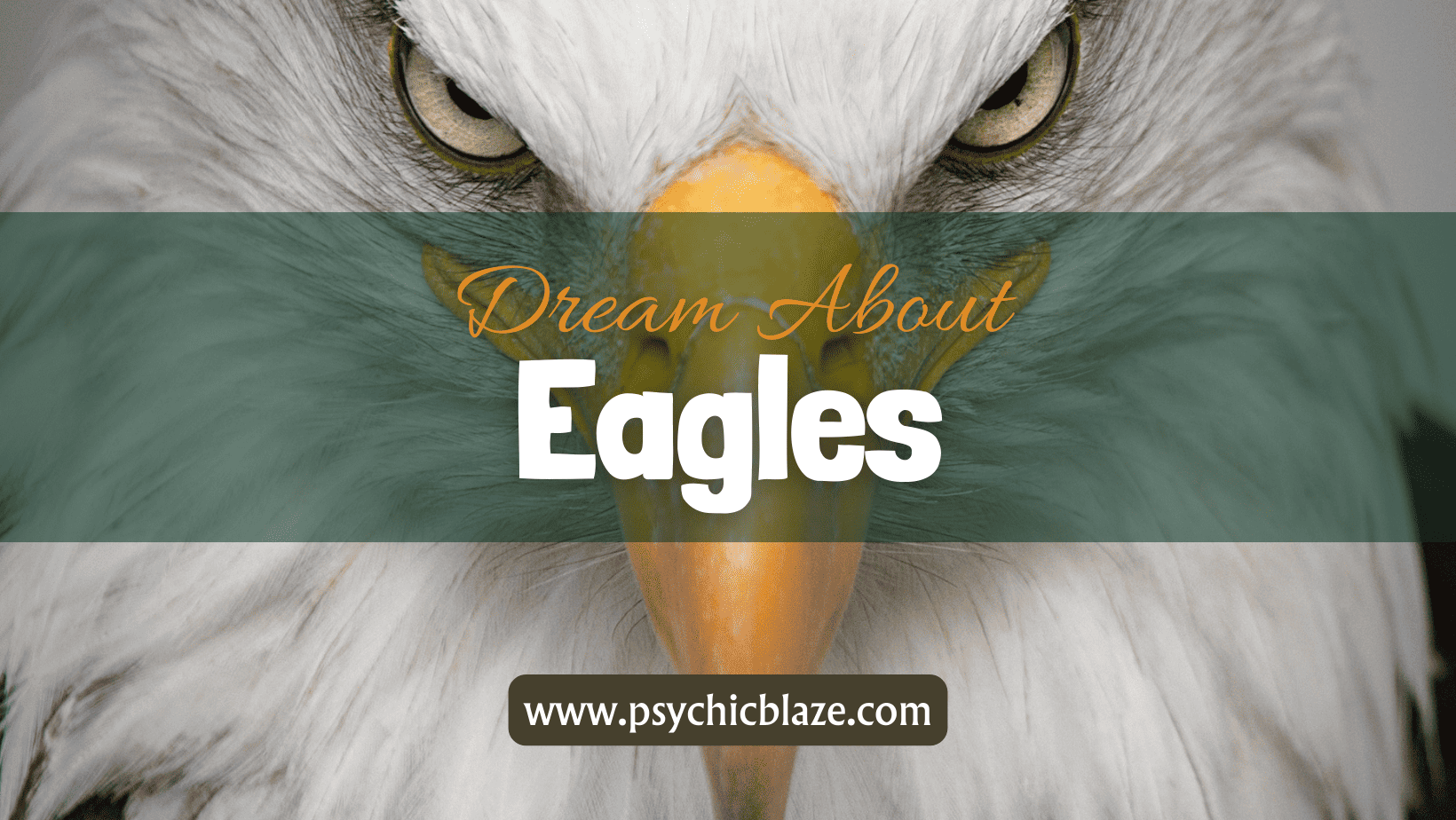 Dream about Eagles