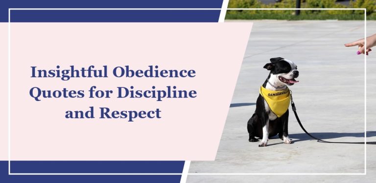 50+ Insightful Obedience Quotes for Discipline and Respect