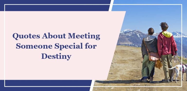66 Quotes About Meeting Someone Special for Destiny
