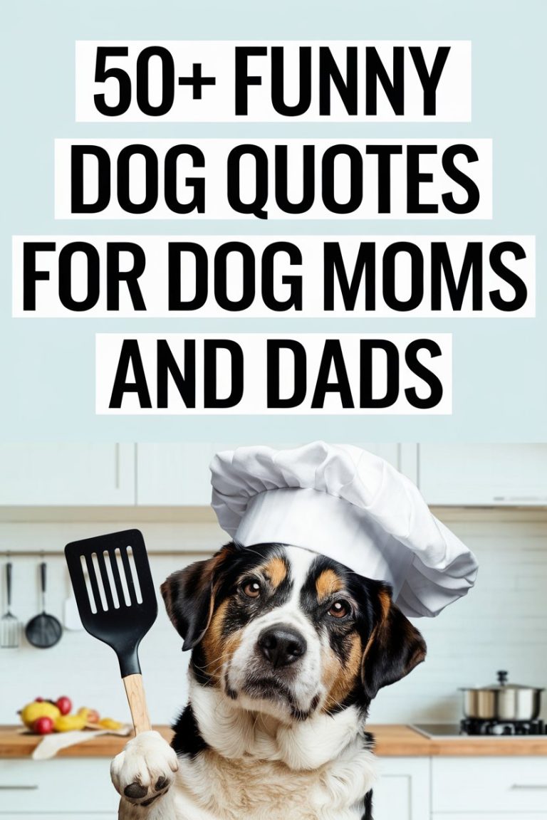 50+ Funny Dog Quotes for Dog Moms and Dads